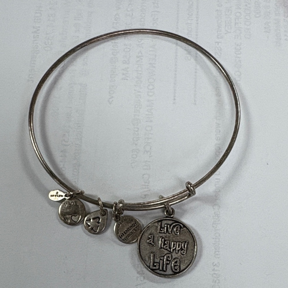 Alex and ani Silver Charm Bangle Bracelet preloved